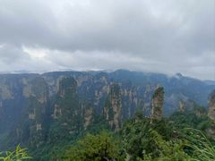 -印象鲵宴·张家界地标美食名片(溪布街店)