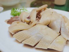-清新鸡沙田乳鸽店(金融店)