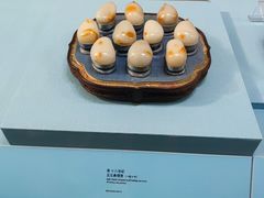 -台北故宫博物院