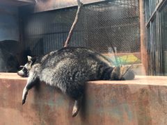 -昆明动物园