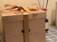 -BLACKSWAN黑天鹅(环球店)