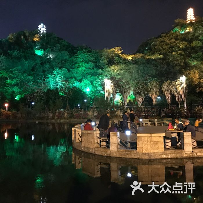 蟠龙山公园夜景图片