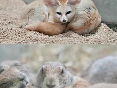 -海合安武汉极地海洋公园