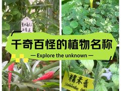 -国家植物园南园