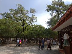 -MAP CHA普洱茶馆(翠湖店)