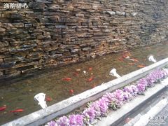 IMAGE_547-老洋房花园饭店(绍兴路店)