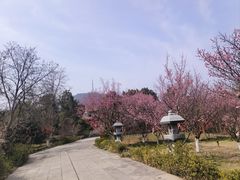 -开福禅寺
