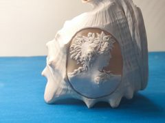 -青岛贝壳博物馆