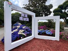 -上海鲜花港