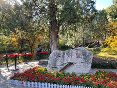 -香山公园
