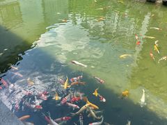 -镇江中国醋文化博物馆