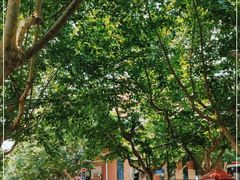 -复旦大学附属中山医院(西院区)