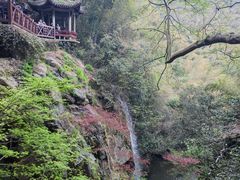-莫干山风景区