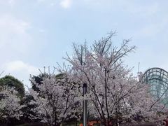 -南山植物园