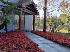 -上海市龙华烈士陵园