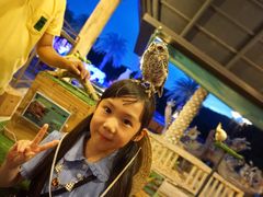 -清迈夜间动物园