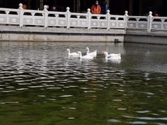 -广东圆玄道观