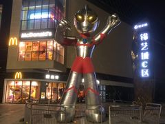 -海底捞火锅(锦艺城店)