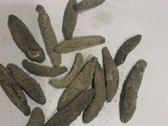 金牌海蜇-广玉兰上海菜(德平店)