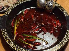 -小志家.鲜牦牛肉牛杂火锅野生菌汤锅