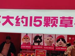 -K22.酸奶草莓(烟台芝罘店)