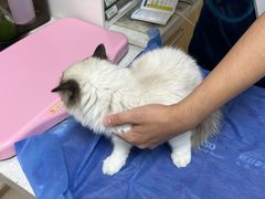 -美联众合动物医院·24h京西诊疗中心