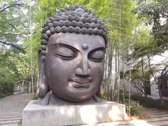 -杭州植物园
