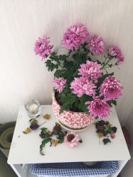 点击看大图 -瑜舍瑜伽连锁教室