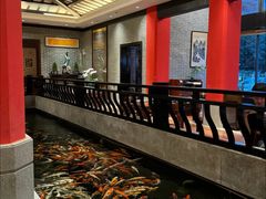 -龙悦湾酒家·八阵鱼生·渔人码头店