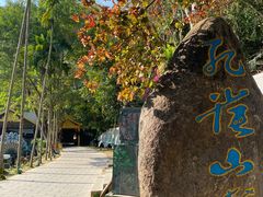 -西双版纳原始森林公园