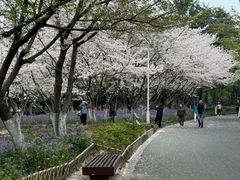 -白塘生态植物园