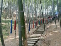 -宁波浙东大竹海景区