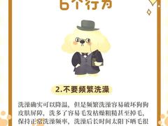 -莘程宠物医院(金山店)