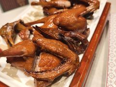 红烧鸽-大鸽饭(动物园店)