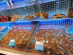 -必点海鲜·鲅鱼水饺(鞍山西道店)