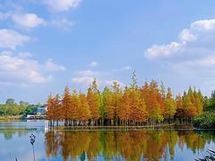 -白鹭湾湿地公园