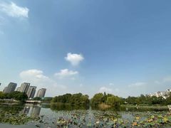 -新江湾城公园