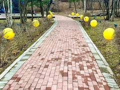 -吉林市朱雀山国家森林公园