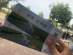 -白洋淀景区