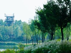 -东郊湿地公园