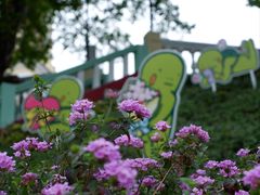 -龙环葡韵住宅式博物馆
