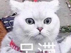 -国文影城(上海闸北店)