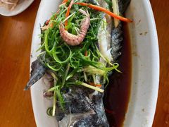 -南蚝小贝海鲜特色餐厅(南澳岛店)