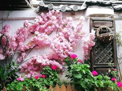-小厨子私房菜·云南美食店