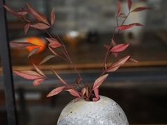 -鱼桥巷·美学川菜