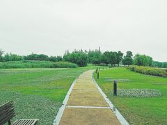 -苏州金鸡湖大酒店