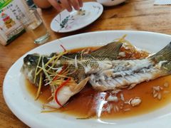 清蒸鲈鱼-祥老弟老信丰萝卜饺旗舰店(建设路二分店)