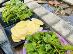 薄荷-大理.老字号渝记酸萝卜乌鱼(古城总店)