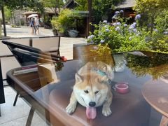 -一叶觅山(半边街店)