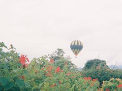 -中国科学院西双版纳热带植物园